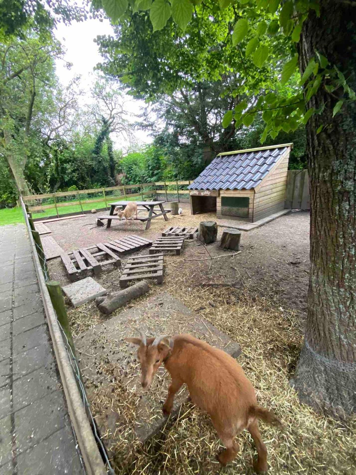 La Luna - Denise Heerhugowaard Exterior foto